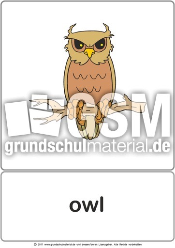 Bildkarte - owl.pdf